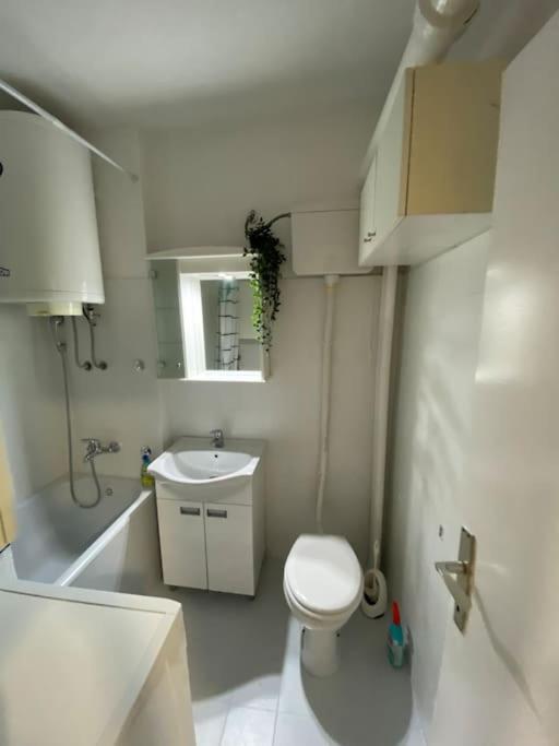 King Alexander Blvd-bright Apt. Διαμέρισμα